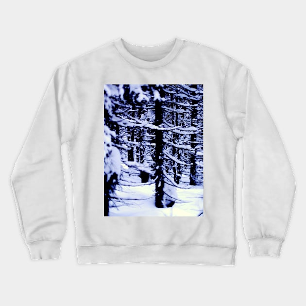 Winter is here! Crewneck Sweatshirt by RobertBretonArt